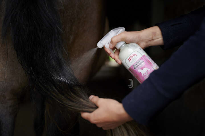 ZEDAN Natürlicher Mähnenglanz 500ml